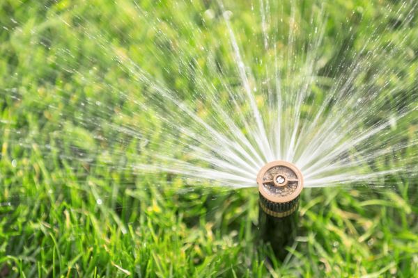 Spigot Installation