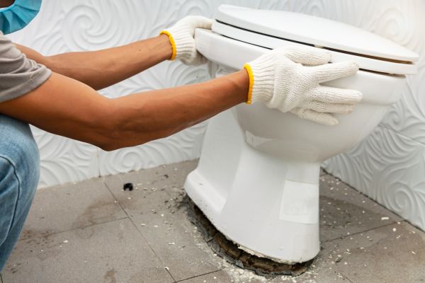 Cost of Toilet Removal in Rocky Mount
